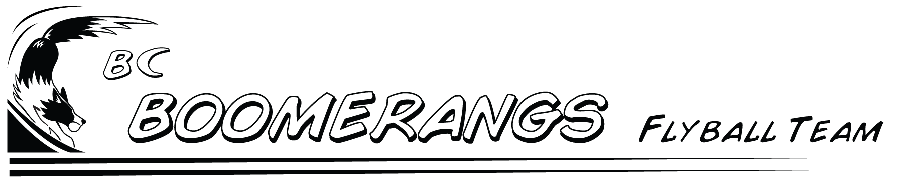 BC Boomerangs Flyball Team